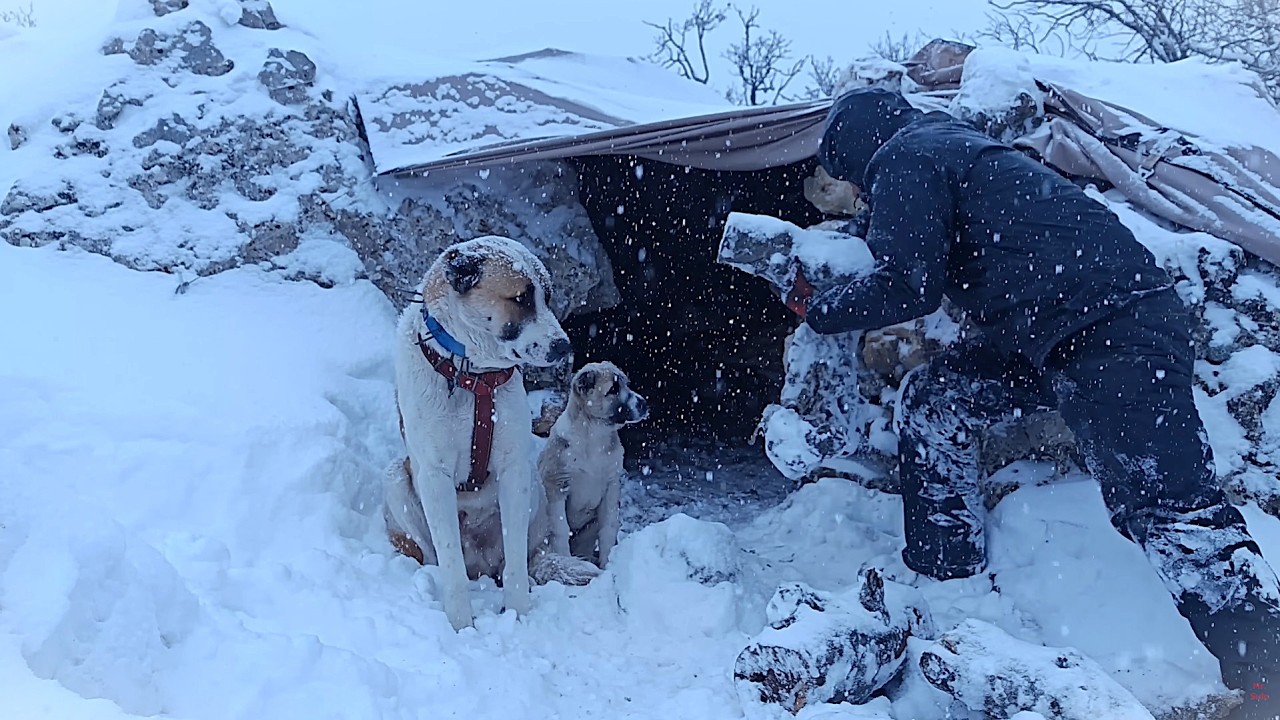 Попал в снежную бурю ❄️ Строю каменное убежище, чтобы пережить ночь