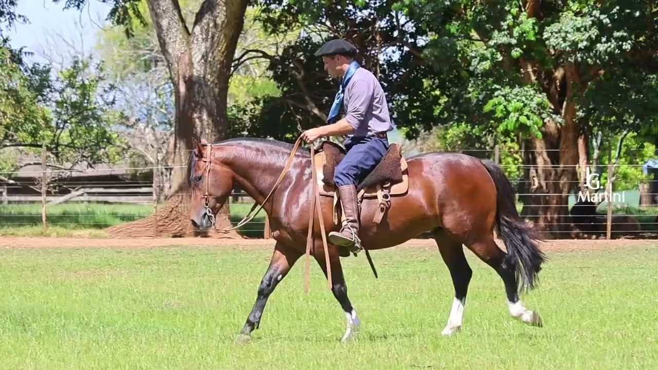Martin Fierro da Recorrida