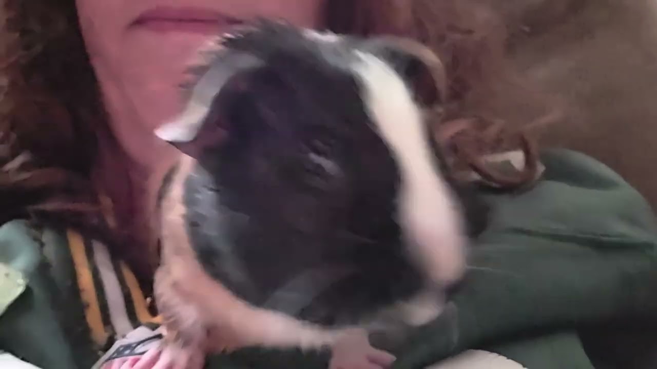 Peanut 