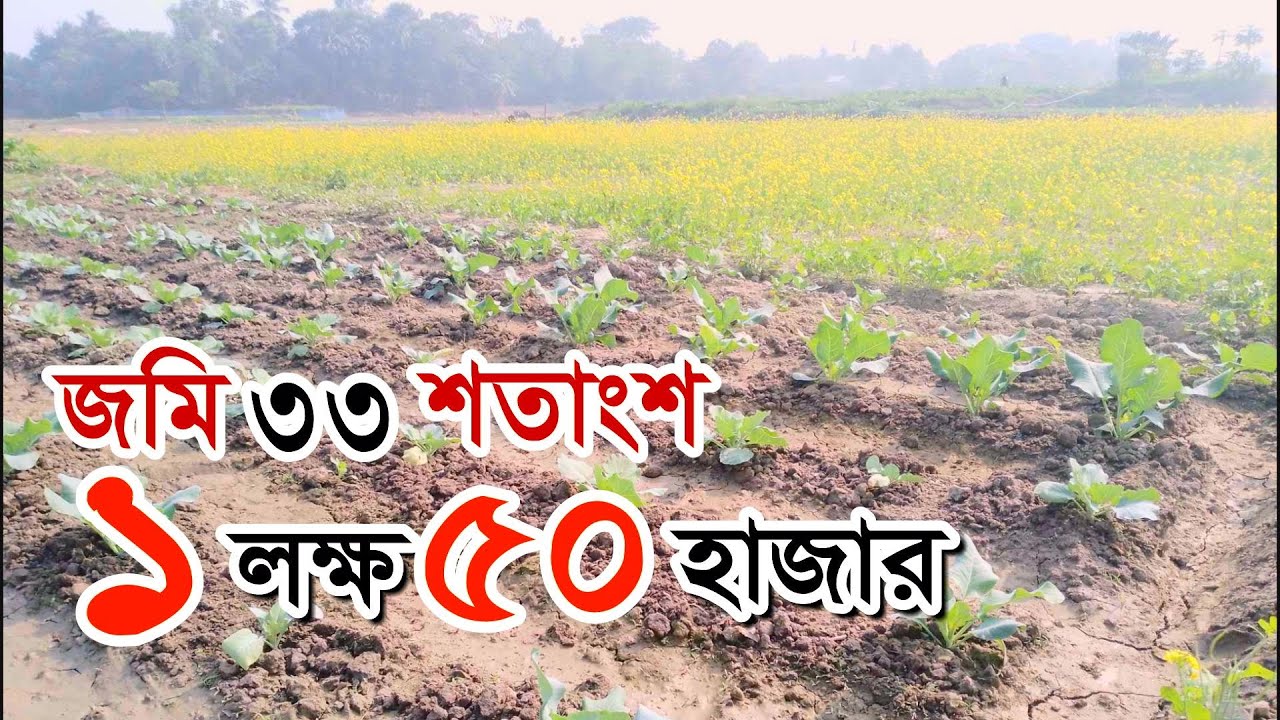অতি প্রয়োজনে জমি ক্রয় বিক্রয় | land for sale | kom dame jomi bikroy | land sale in Gazipur city