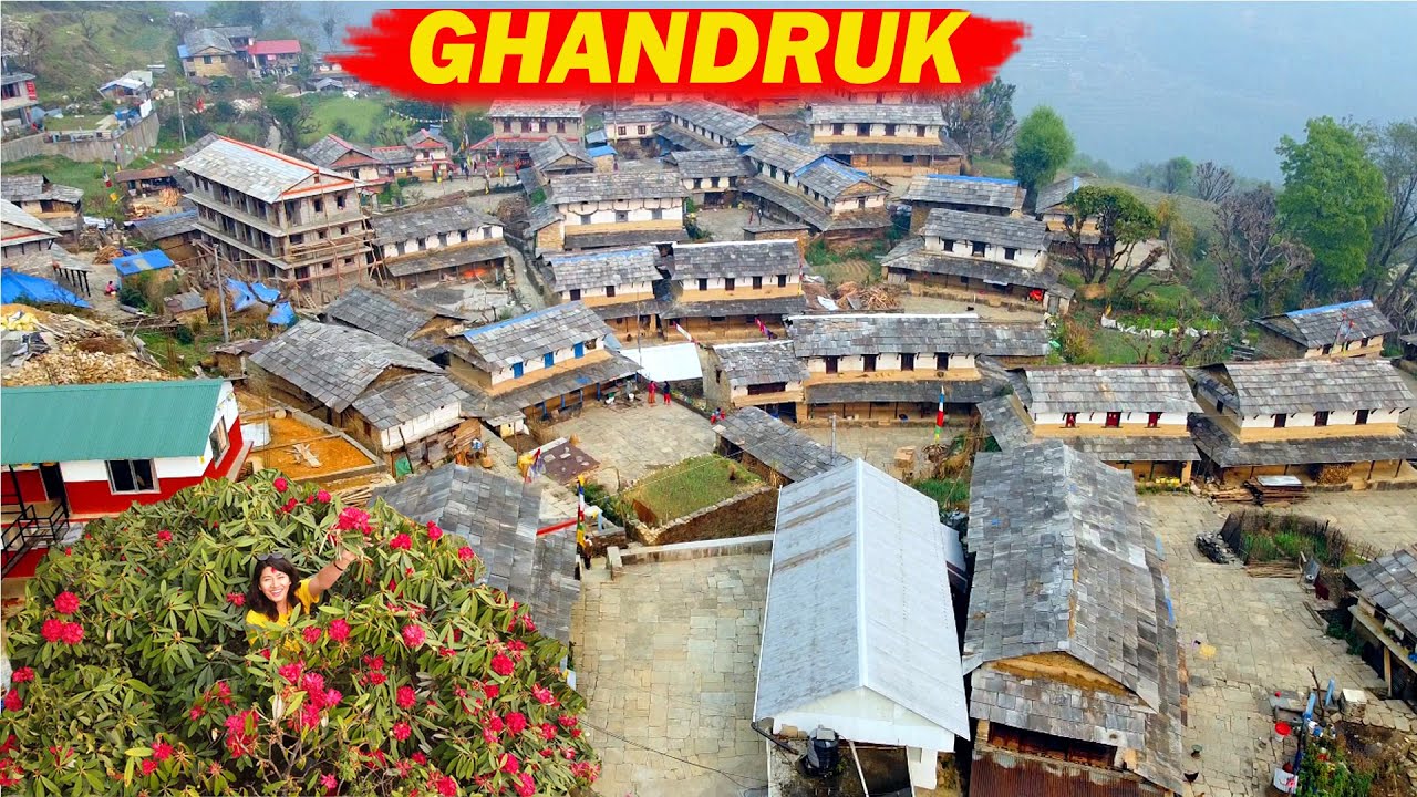 Ghandruk Village | Beautiful Village in Nepal | Ghandruk Cultural Museum | Ghandruk Tea Garden