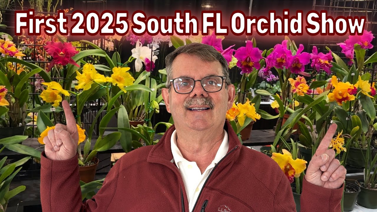 The First South FL Orchid Show & Sale of 2025!  Fort Lauderdale's 