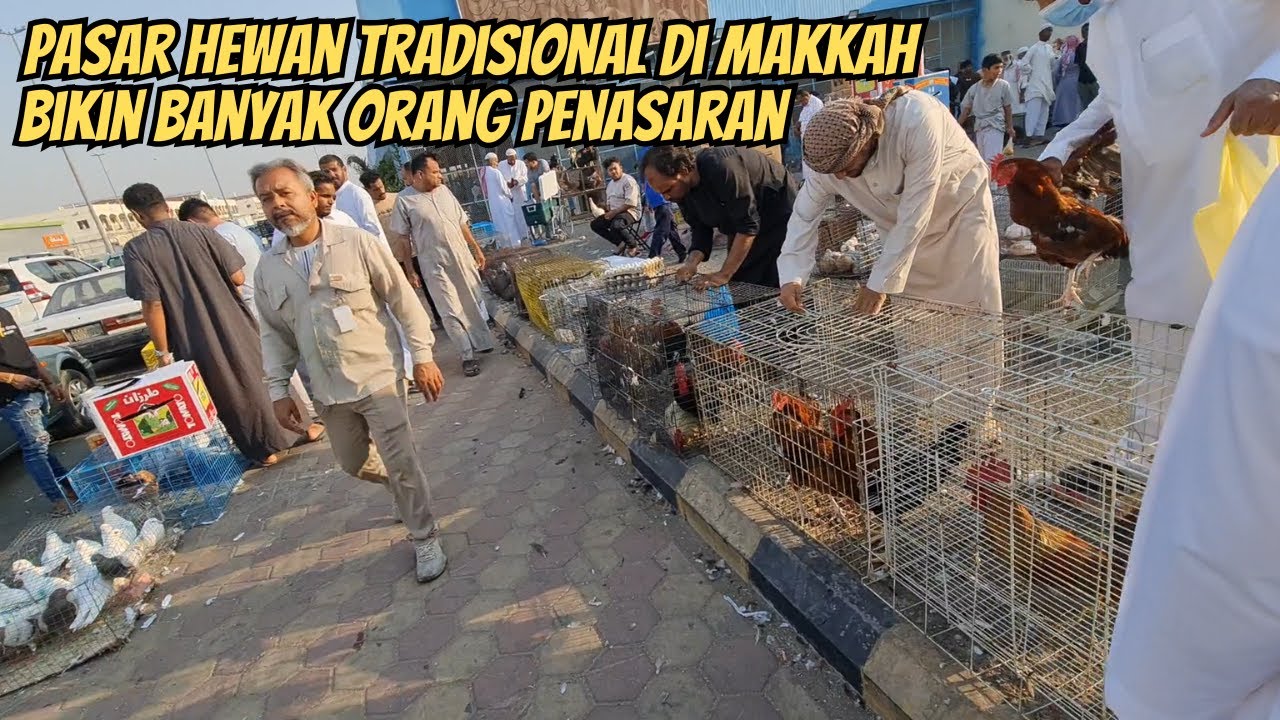 SISI LAIN TENTANG KEHIDUPAN DI MAKKAH YG BIKIN SEMUA ORANG MELONGO
