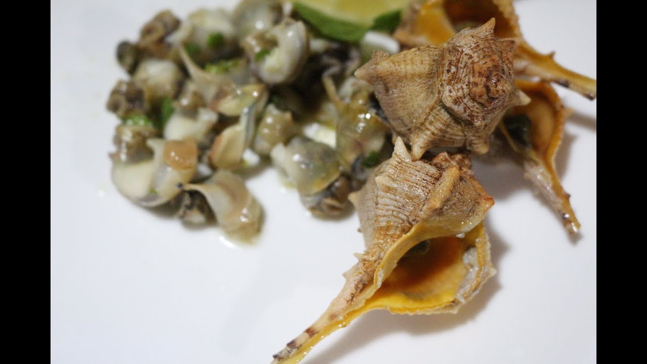 MURICE SPINOSA | Cosa sono e come prepararli 🐚