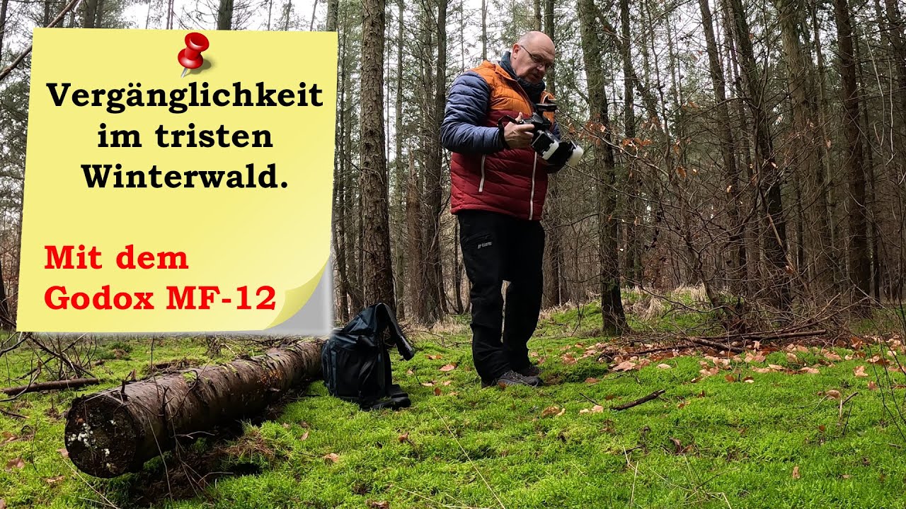 Verg&auml;nglichkeit im tristen Winterwald mit dem Godox MF-12 Makroblitz, auf der Motivsuche.