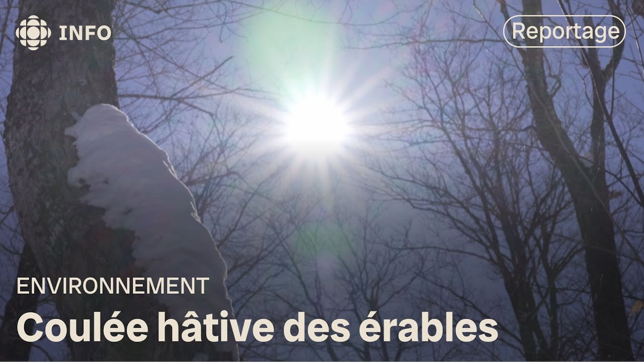 Coul&eacute;e h&acirc;tive des &eacute;rables | La semaine verte