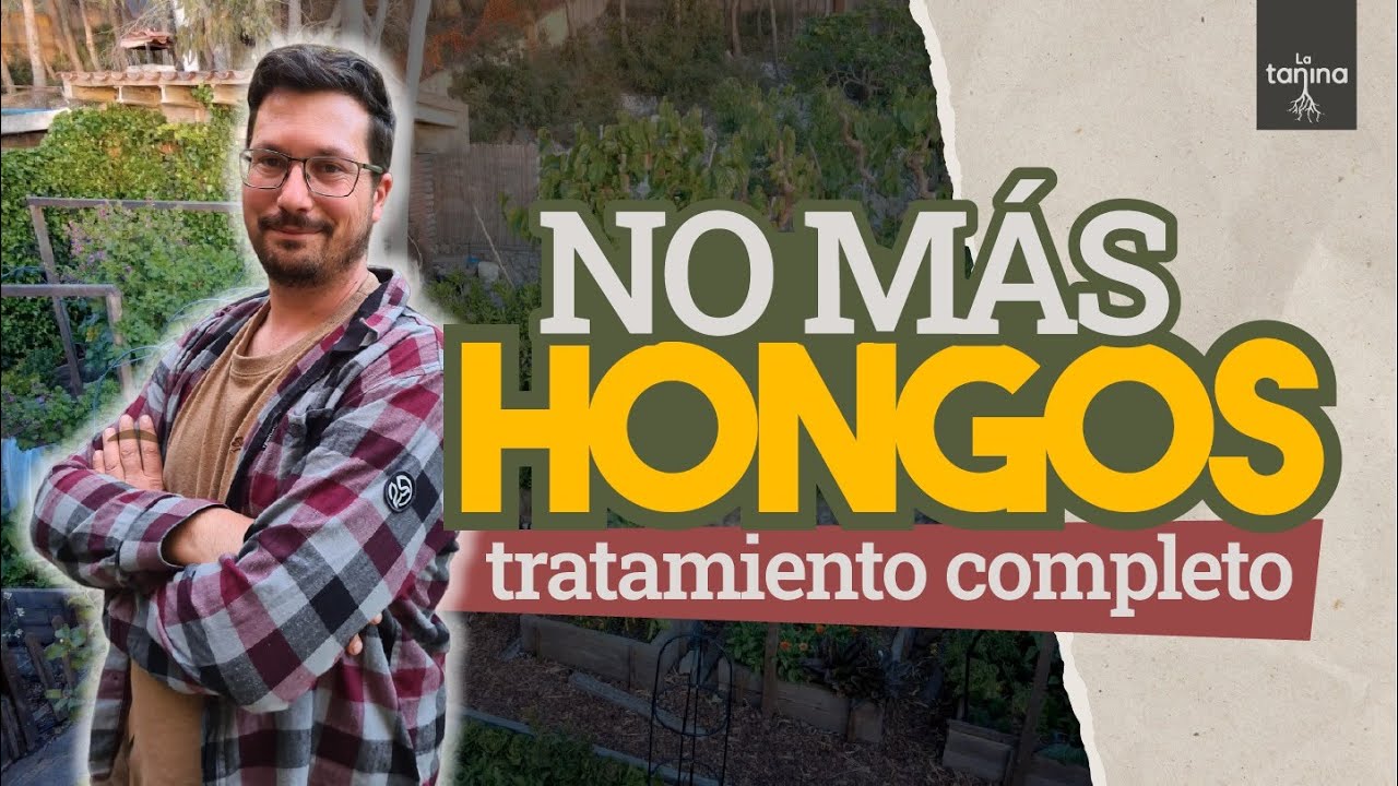 Acaba con los HONGOS en las plantas para siempre!