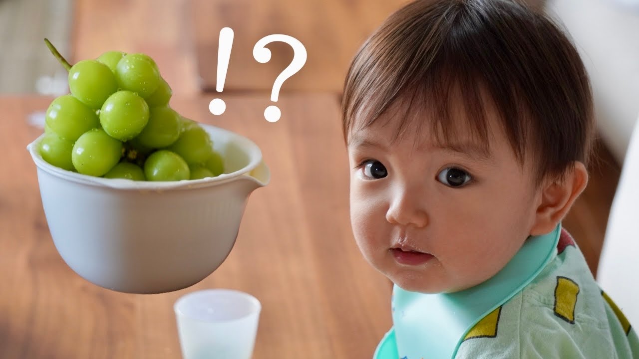 【離乳食】初めてのシャインマスカット！食後のフルーツがあることを知ってどんぶりを早食い！？
