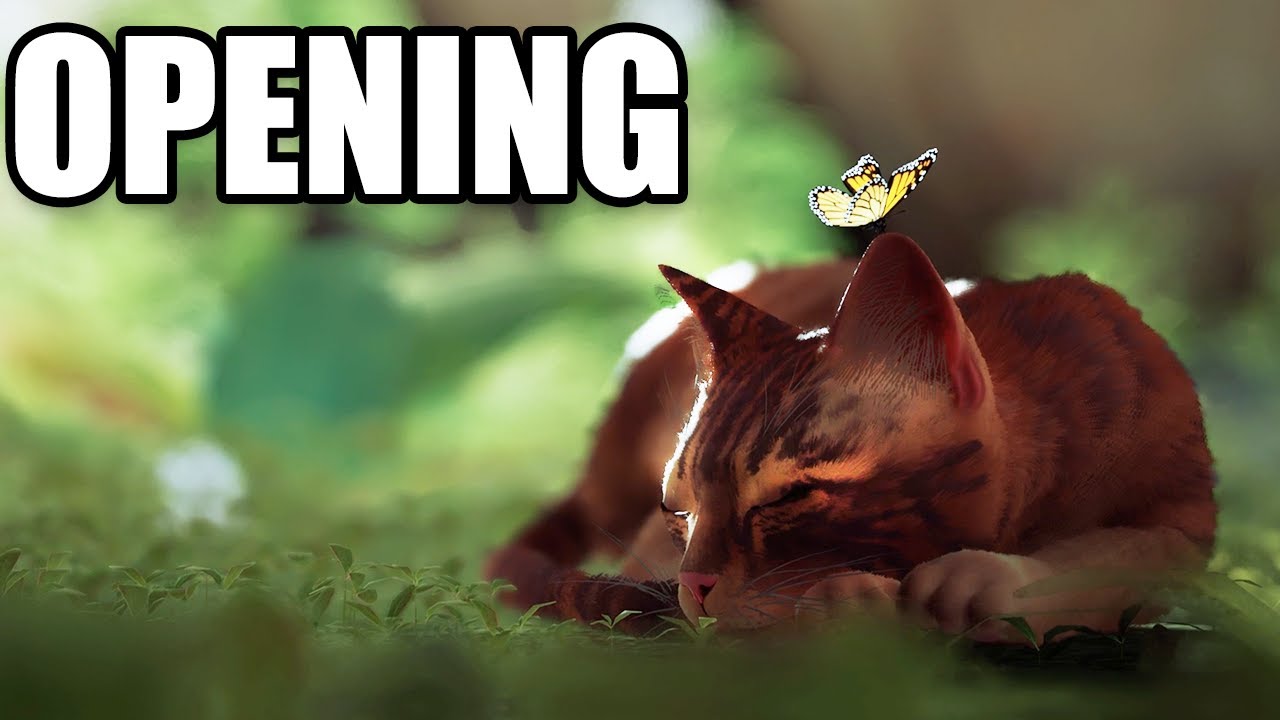 STRAY - Full Opening