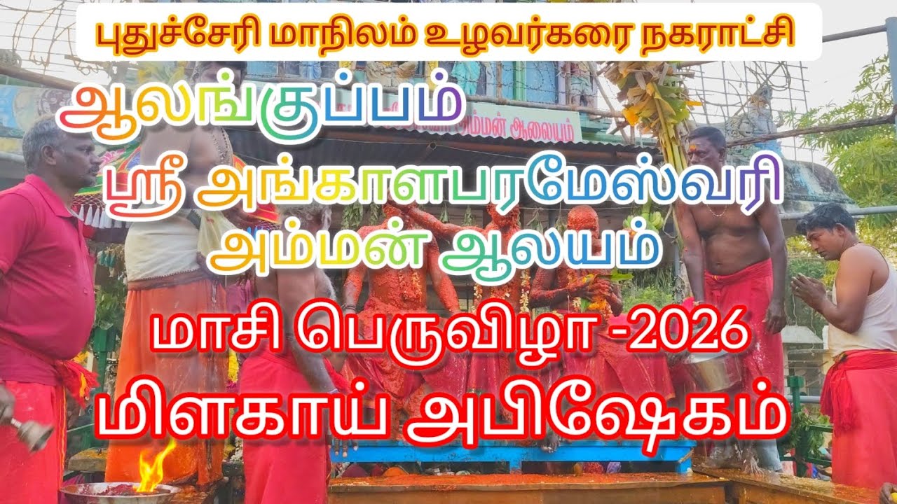 #Alankuppam sri Angalamman temple maasifestival-2026 மிளகாய் அபிஷேகம் 