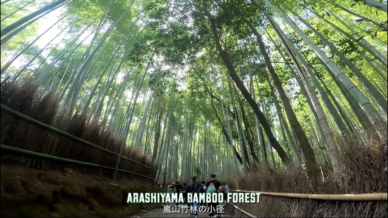 Japan Trip 2025 Part 7: Kyoto & Arashiyama (Monkey Park and Bamboo Forest) 京都と嵐山 (モンキーパークと竹林の小径)