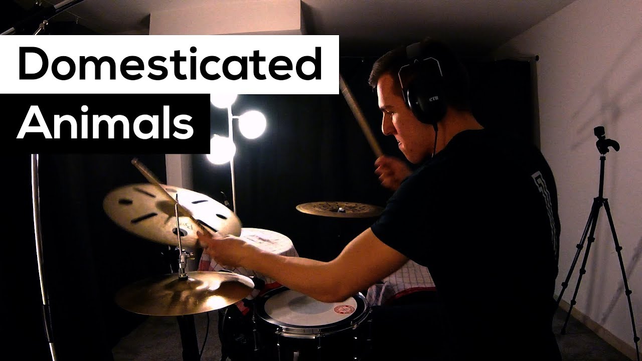 Domesticated Animals - Drum Cover - Queens Of The Stone Age