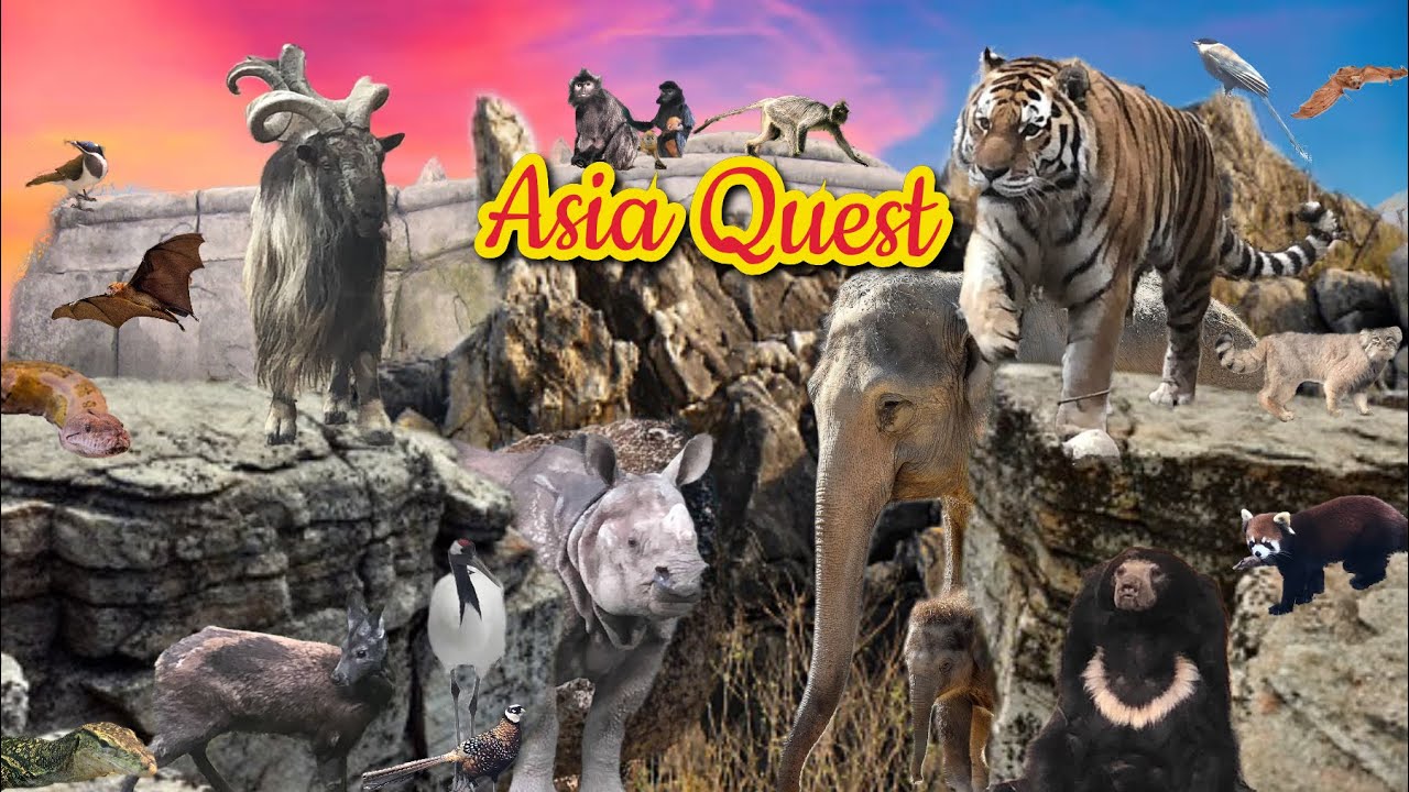 Columbus Tours Episode 1: Asia Quest