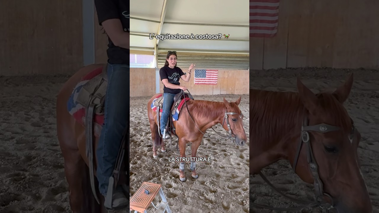 Quanto costa una lezione di equitazione ? #horse #equestrianjourney #equestrian