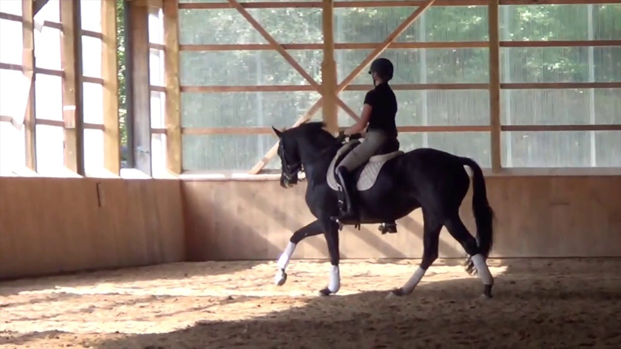 Posie Rien Clinic Sept 2018