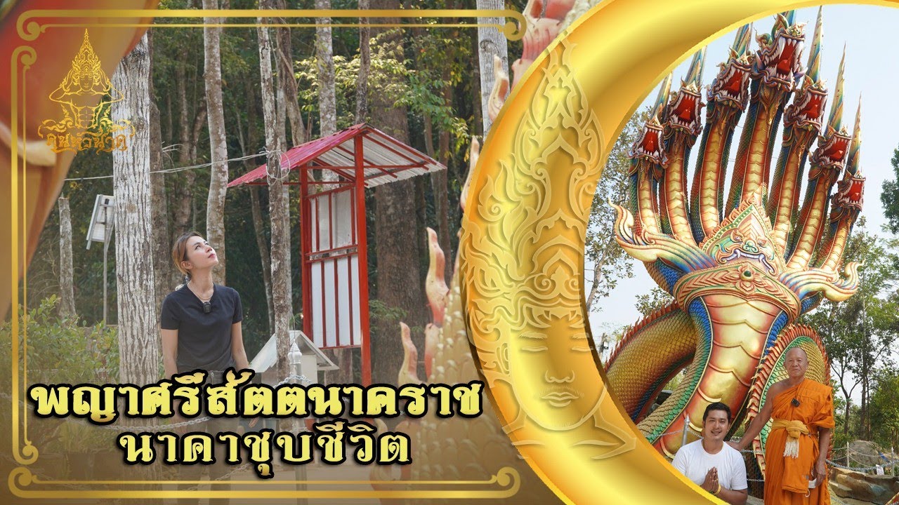 ตามรอยพญานาค พญาศรีสัตตนาคราช   นาคาชุบชีวิต | คน-หัว-นาค |ພະຍານາກ
