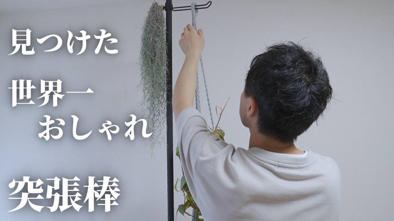 【おすすめ】賃貸でも観葉植物ハンギング！世界一おしゃれな突っ張り棒「DRAW A LINE」レビュー！オシャレなインテリアに！観葉植物｜アガベ｜多肉｜狭小部屋｜一人暮らし｜アパート｜マンション｜DIY