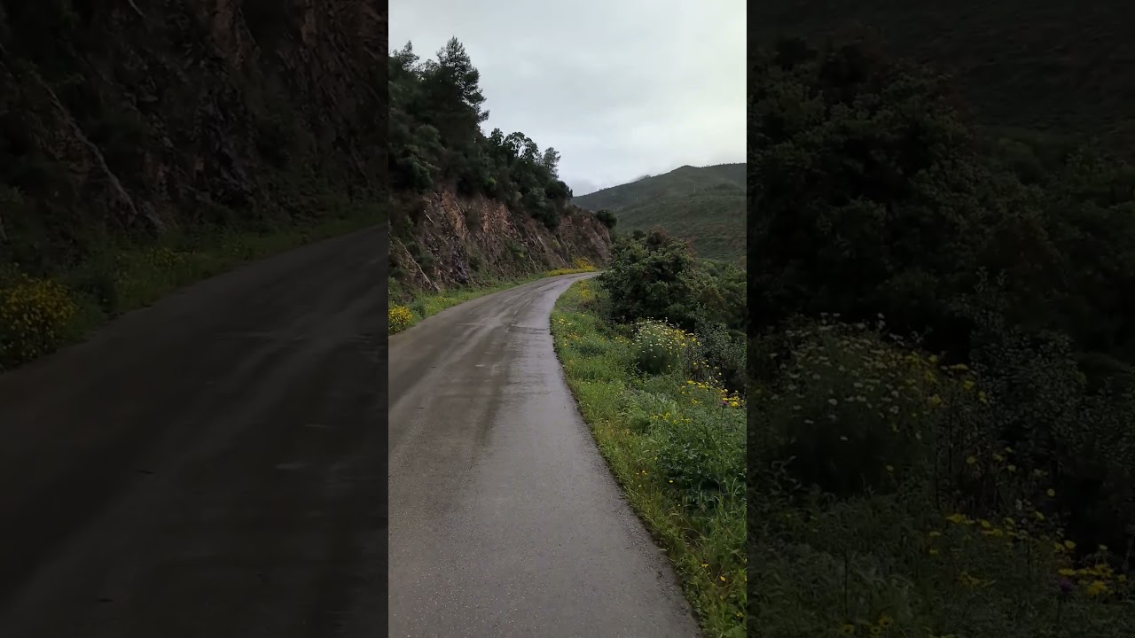kabylie ♓ #algeria #kabylemusique #nature #cinematic #travel #kabylie #kabyle