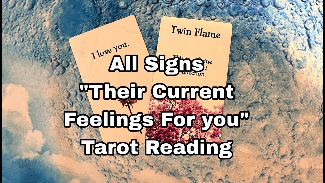 All signs “Their current feelings for you” tarot reading
