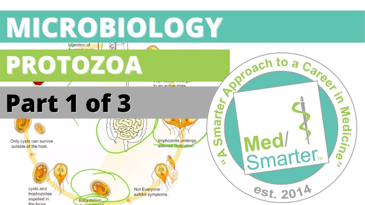 Protozoa | Microbiology | USMLE STEP 1 | Part 1 of 3