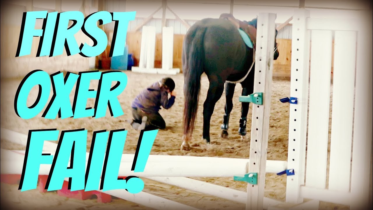 FIRST TIME JUMPING AN OXER! .....FAIL!  Day 302 (11/01/18)