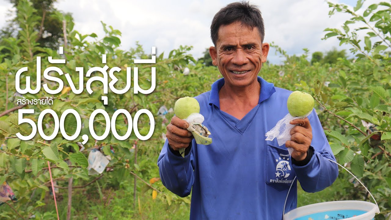 มองโลกกลับหัว Ep.10 | จากนาข้าว 13 ไร่ สู่สวนฝรั่ง 