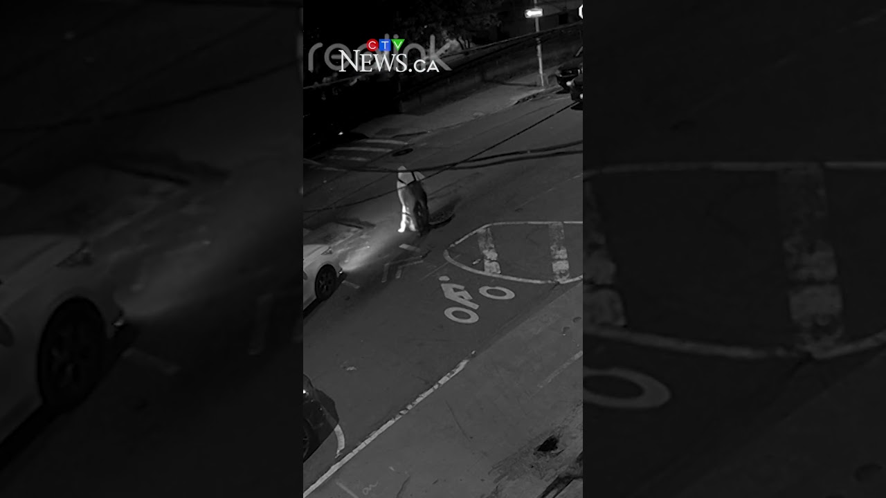 People captured entering a New York City sewer in the middle of a road