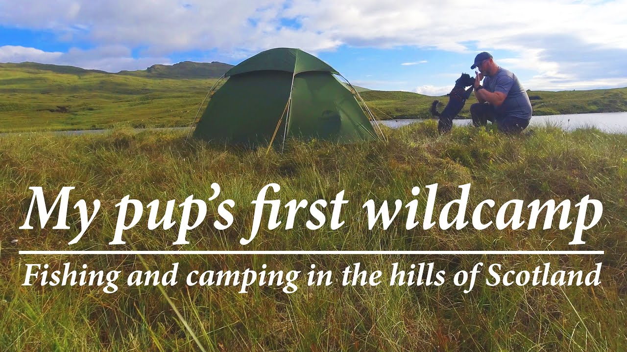 My pup's first wild camp - camping and fishing in the hills of Scotland