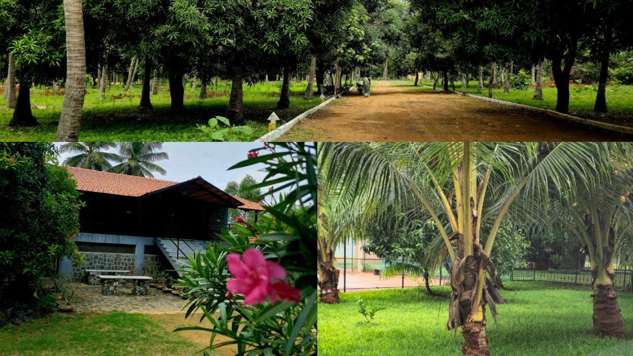 No:241 Fantabulous Kerala Style Black Stone FarmHouse 4 Acre 6 Cent for sale in ECR ||Ct: 9626716274