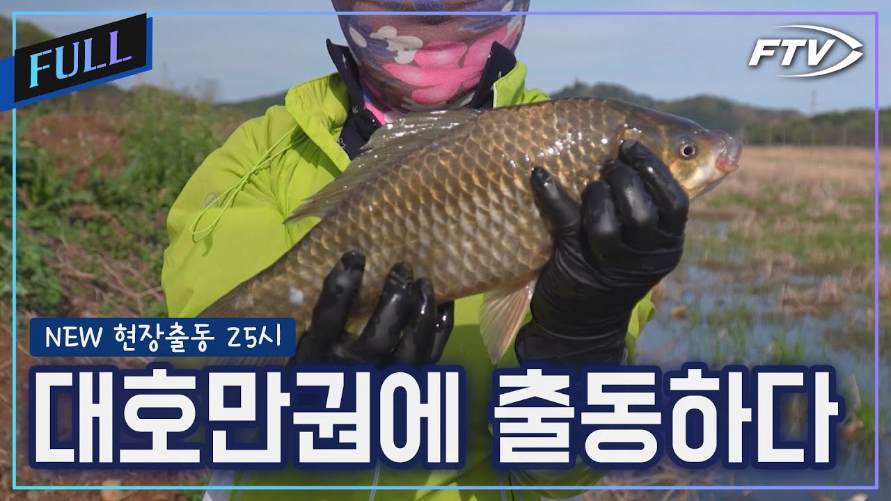 붕어낚시 메카 당진 대호만 붕어 출동[NEW현장출동25시/2회]