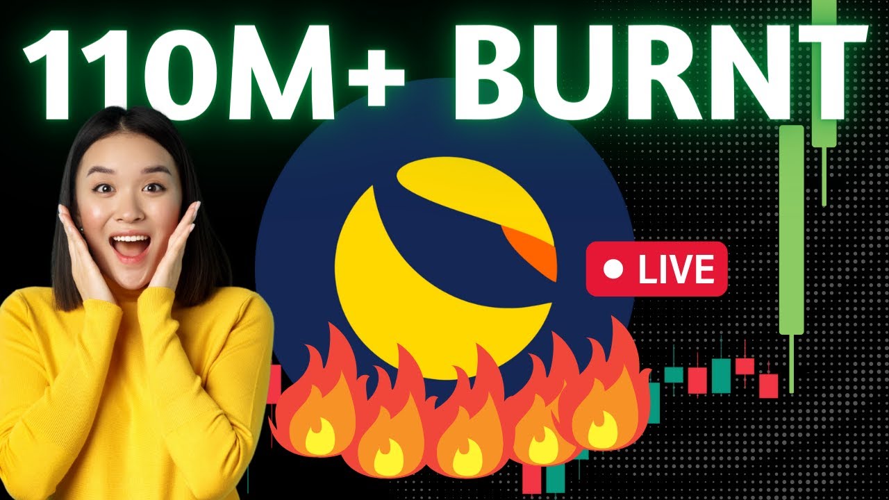 INSANE! LUNA CLASSIC BURN - 12 HOUR RESULTS #lunaclassic #lunc #lunaburn