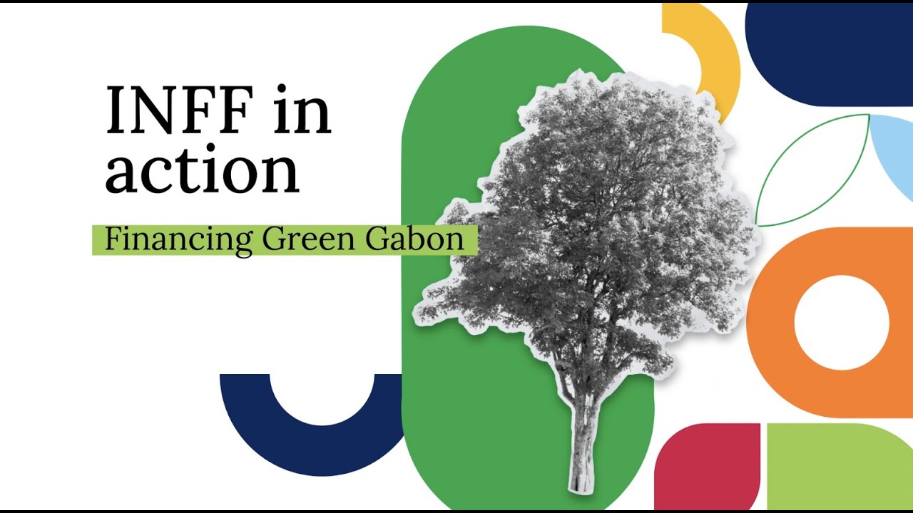 Financing Green Gabon