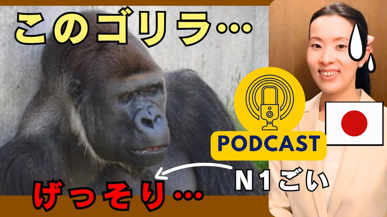 【Japanese Podcast】この「JLPT N1 Vocabulary ごい」知ってる？｜Listening Practice 聴解  #japanesepodcast #日本語ポッドキャスト