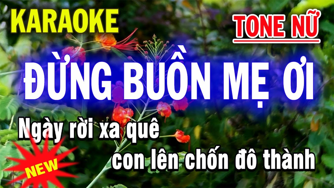 Karaoke Đừng Buồn Mẹ Ơi - Tone Nữ - ST Vũ Duy Long
