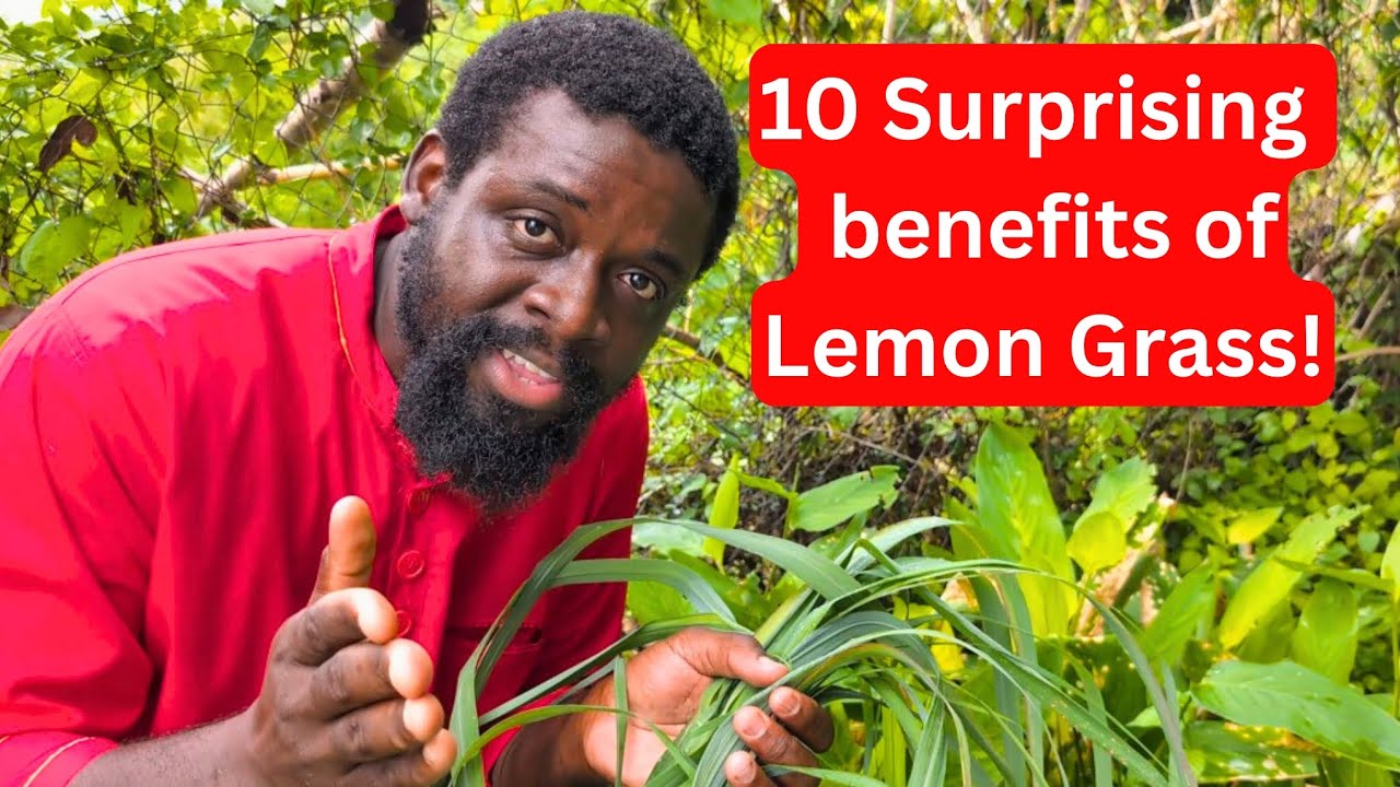 Before You Drink Lemongrass Tea Again, Know These 10 Surprising Benefits + 1 Bonus! 🌿
