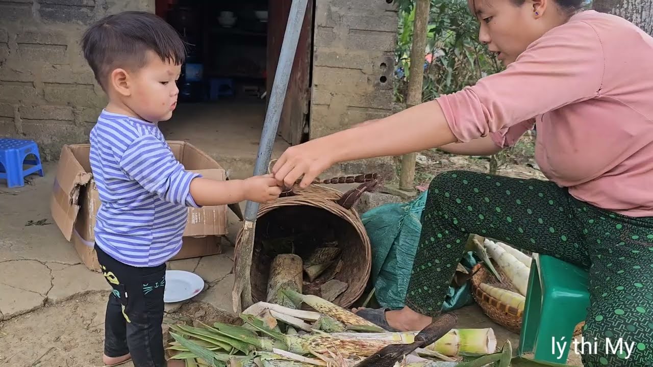 The single mother took her two children to with her to fInd bamboo shoots to sell - lý thị my