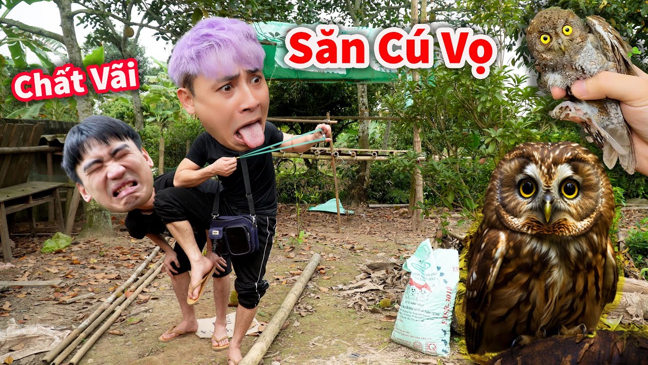 Hậu Cáo - Săn Được Chim Cú Vọ Mắt Vàng Bằng Ná Cao Su Cực Chất