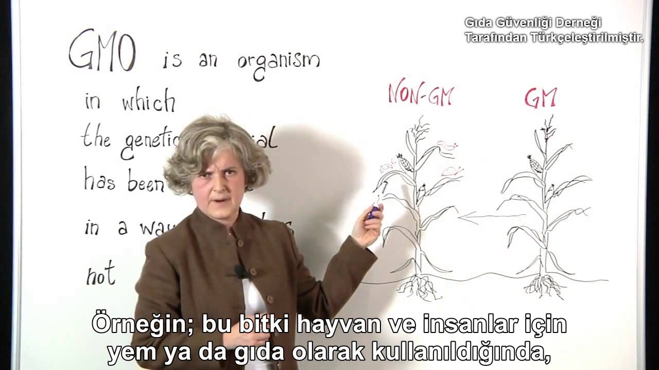 Genetiği Değiştirilmiş Bitkiler Nelerdir?