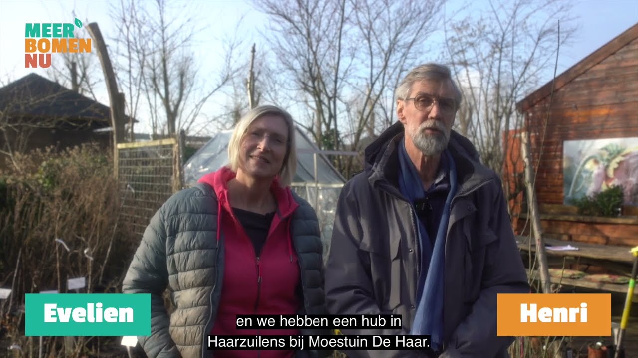 Ontmoet de vrijwilligers | Meer Bomen Nu Utrecht