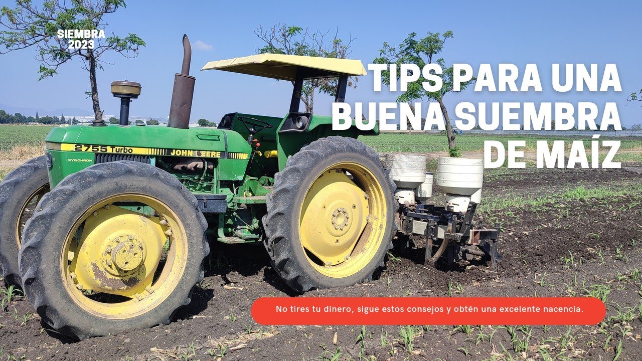 Siembra de maíz blanco 2023. Tips para una buena siembra.