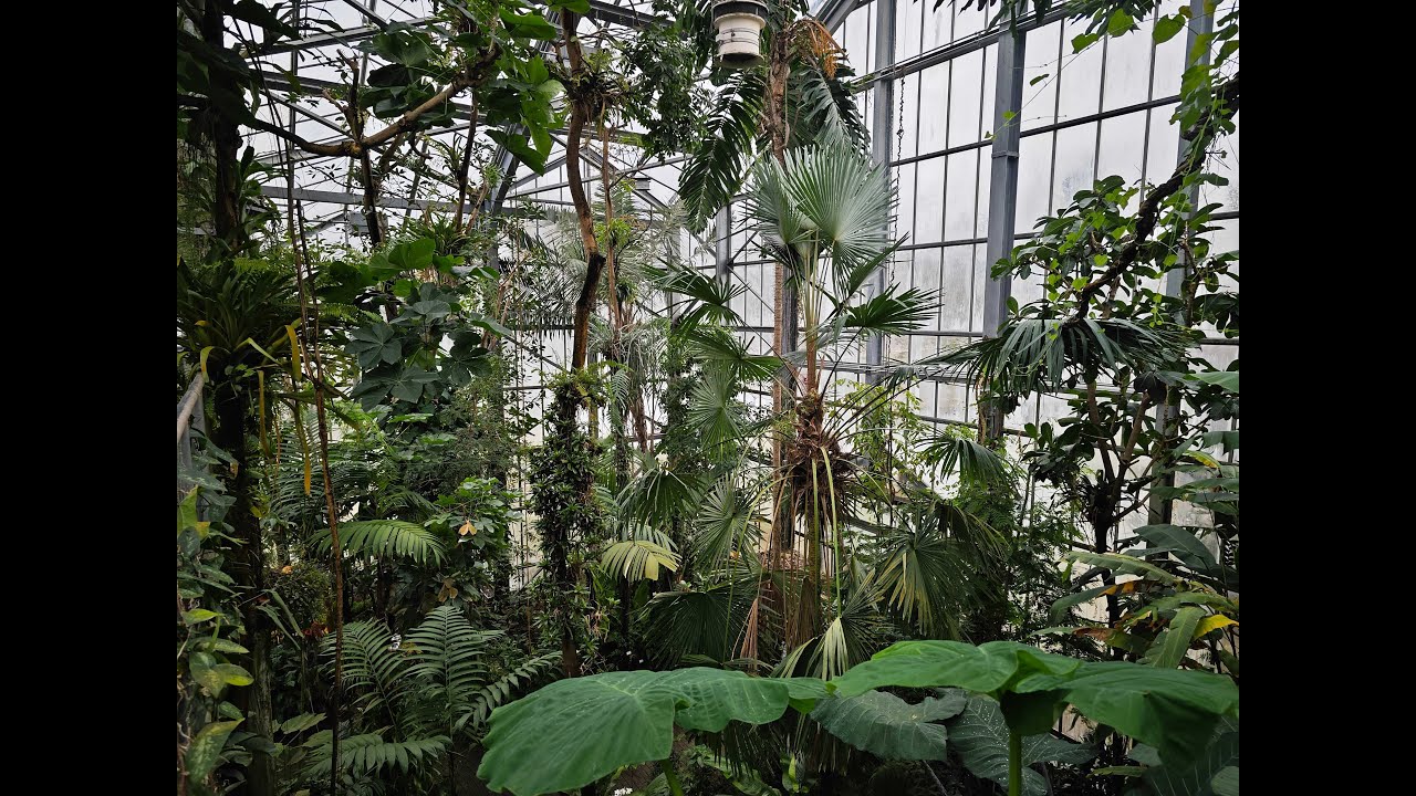 Tropenhaus Botanischer Garten Universität Osnabrück