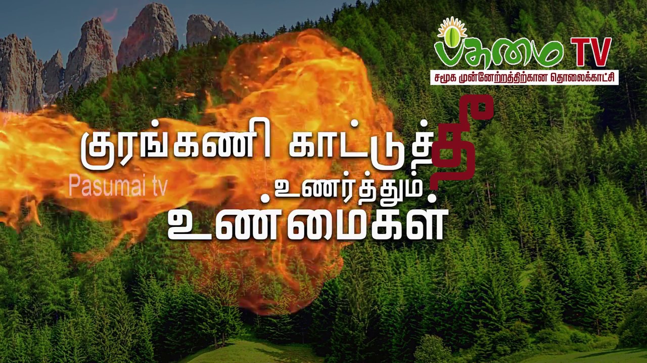 Kurangani Forest Fire - The Behind Truth