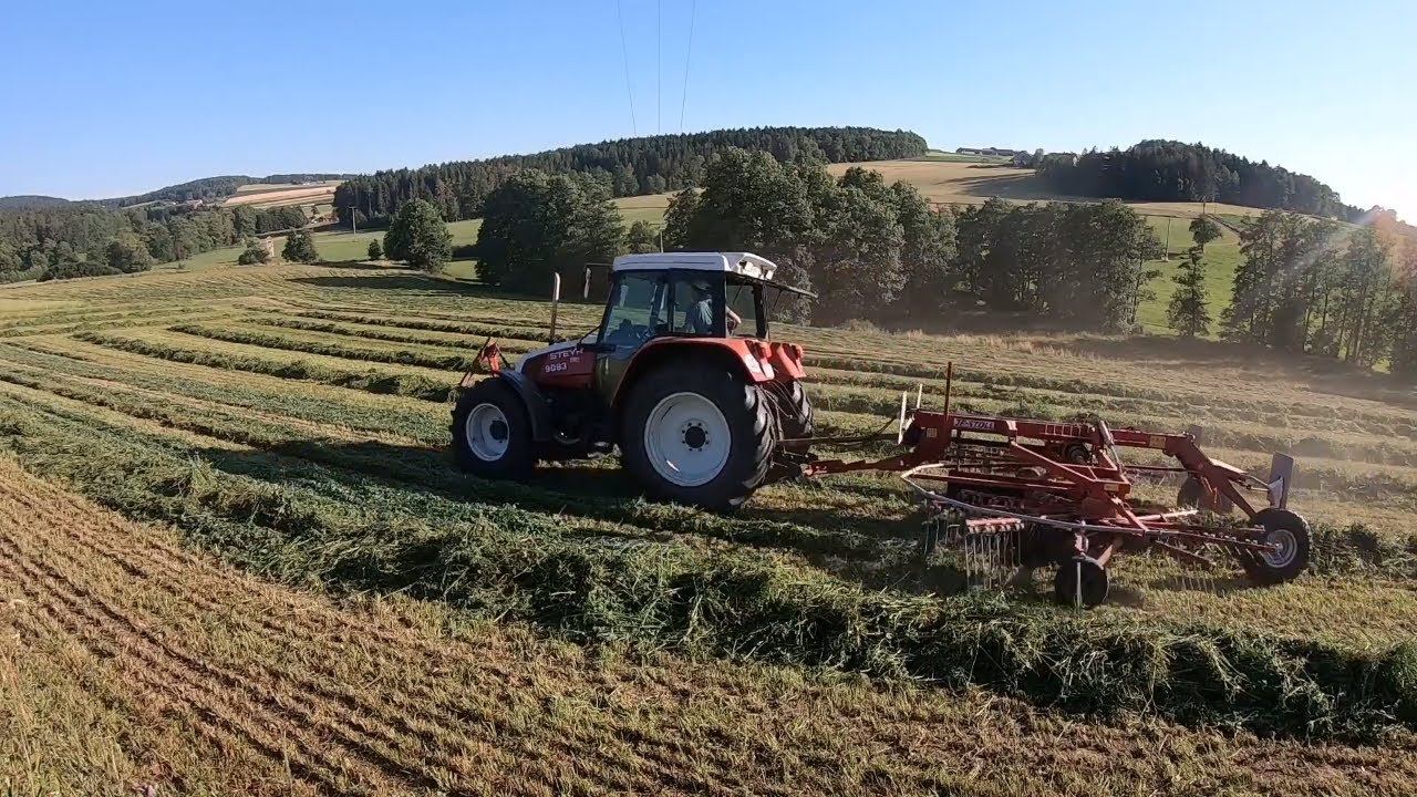 2. Schnitt 2019 // Schwaden mit Steyr 9083 und JF-Stoll Drive 655 ASL // GoPro H7 Cab View [HD]