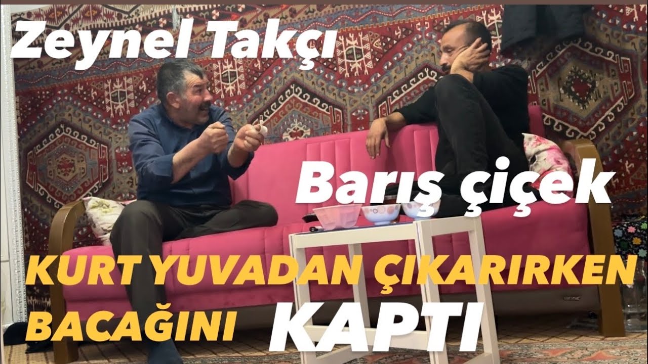 KÖY SOHBETLERİ KURTÇUL KANGALLAR @bariscicek9181 #short #shortvideo #kangal #vahşiyaşam #kurt #001