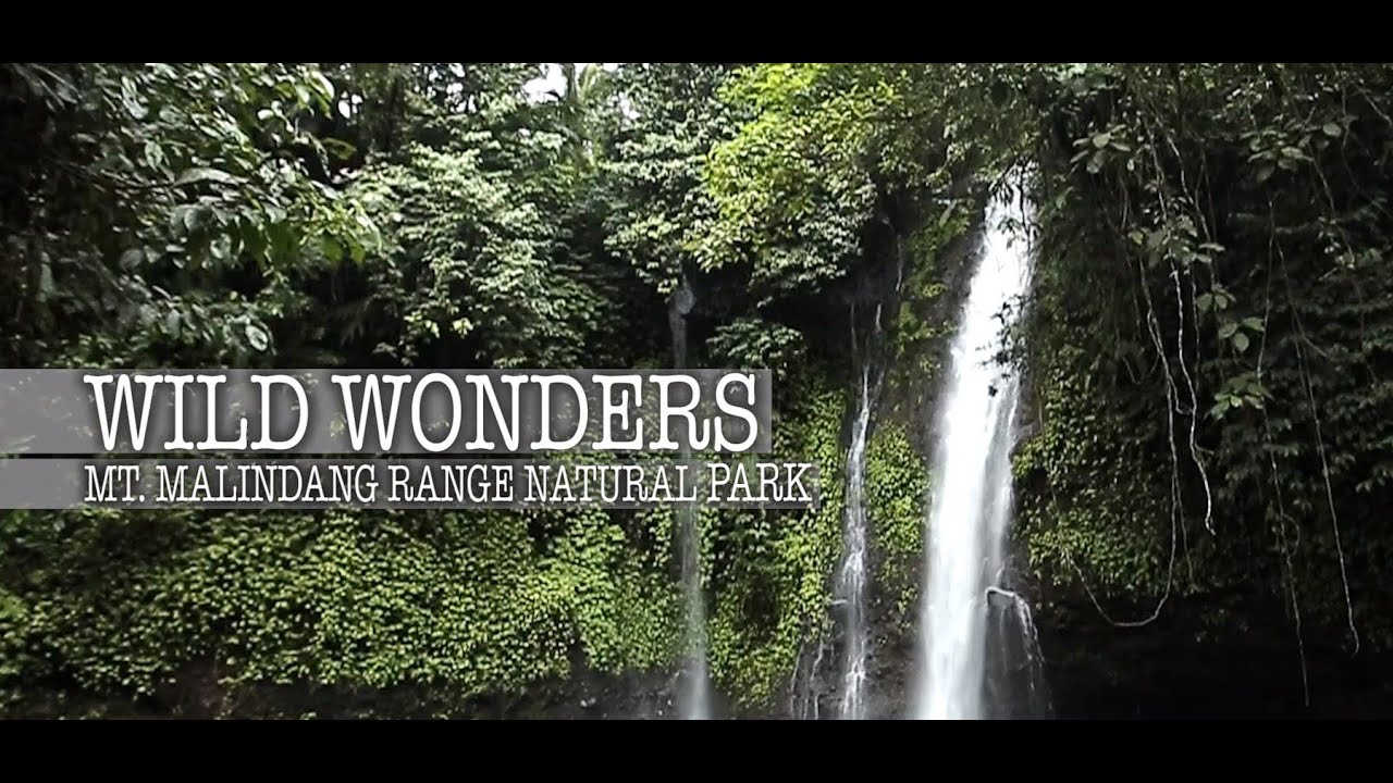 Wild Wonders: Mt. Malindang Range Natural Park