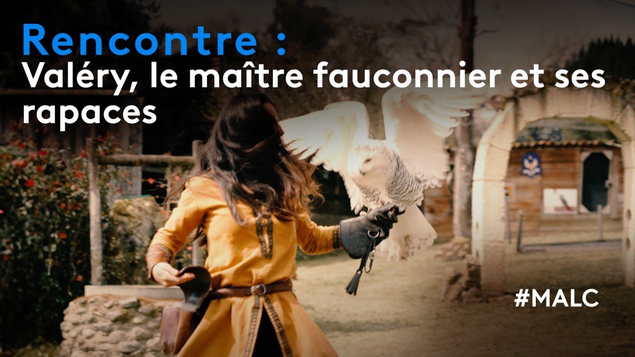 Rencontre : Valéry, le maître fauconnier et ses rapaces