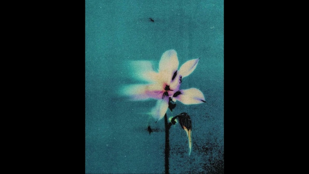 [FREE] 