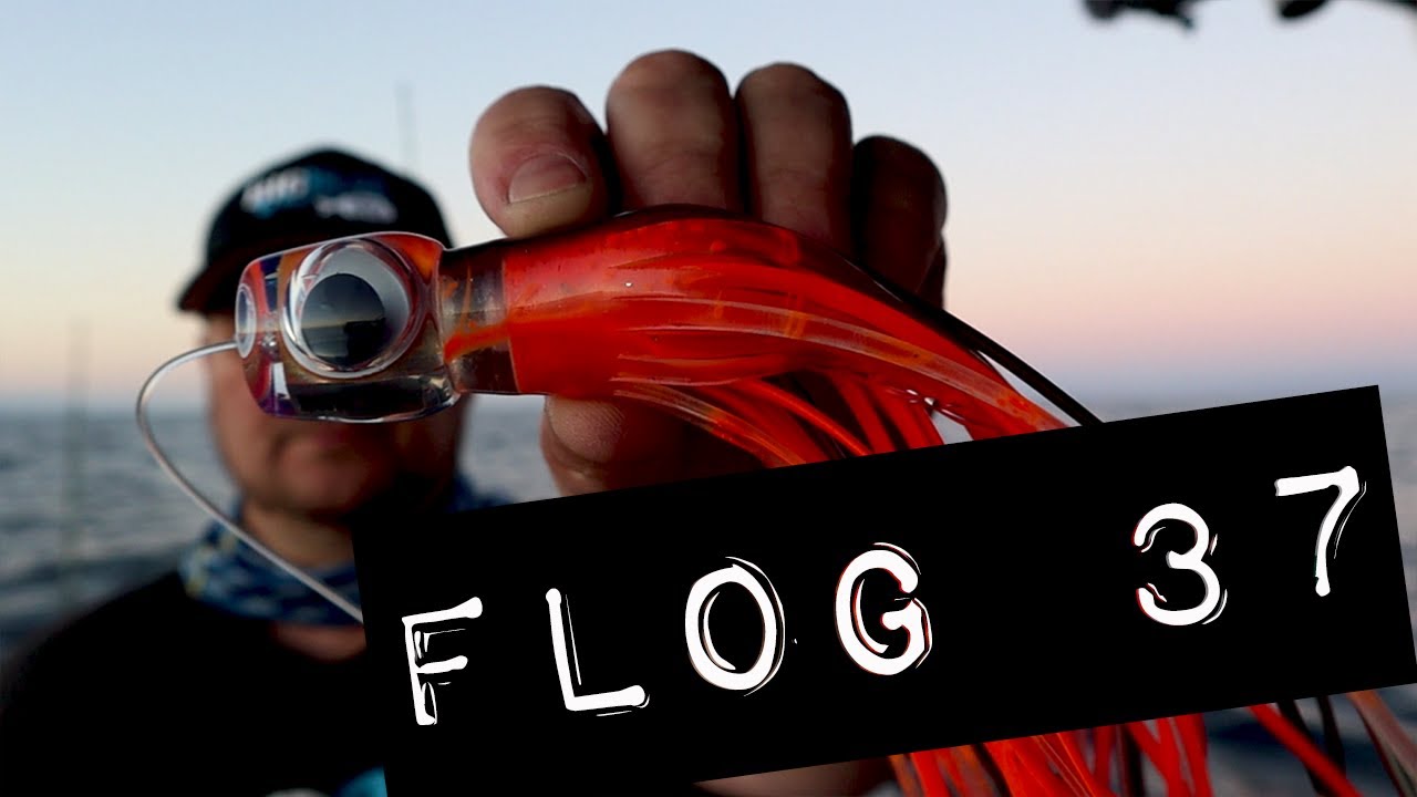 Flog 37 // Fishing with Maggots