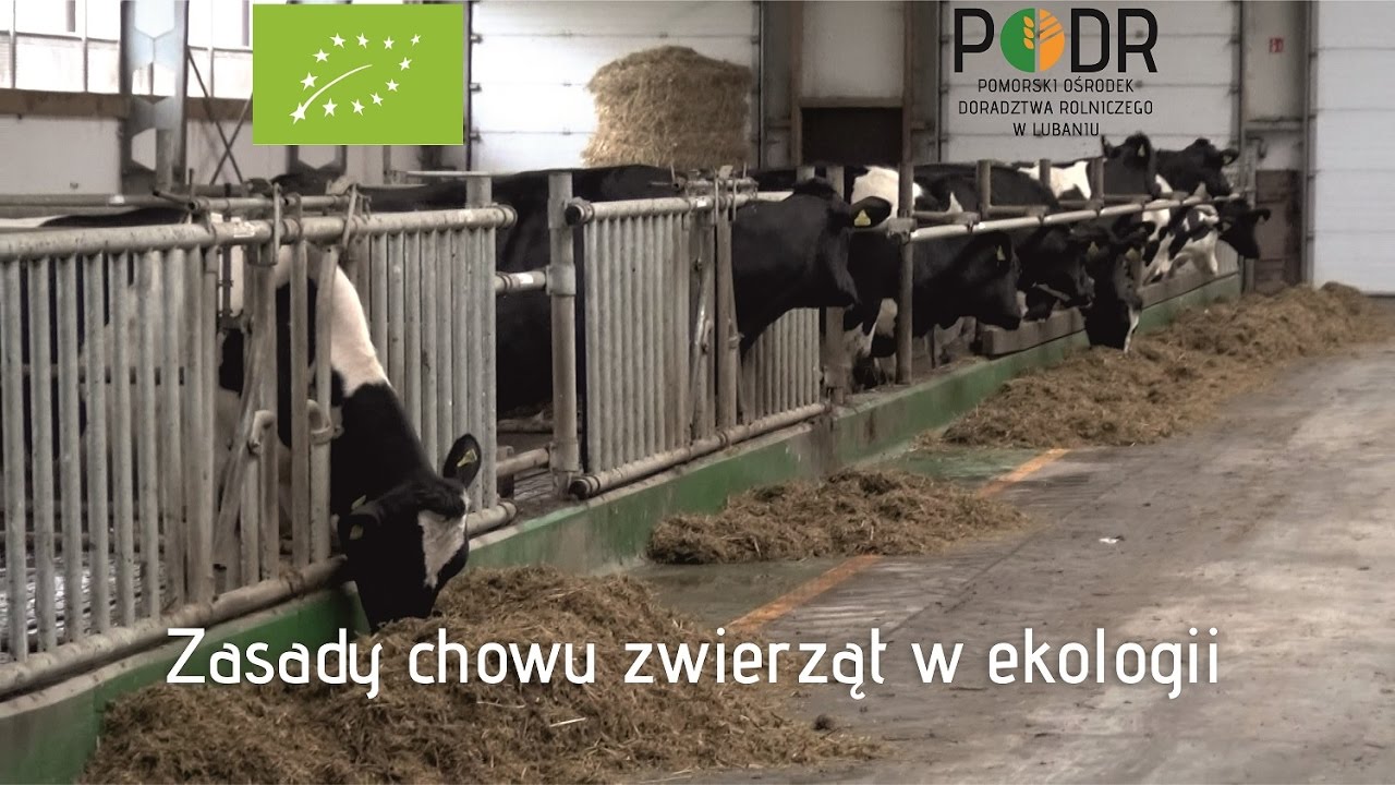 (ARCHIWUM 2016) Zasady chowu zwierząt w ekologii