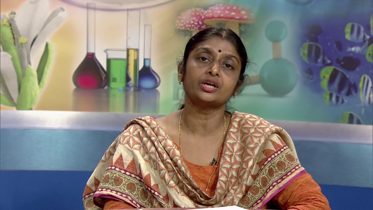 L1 Nature and Scope of Business